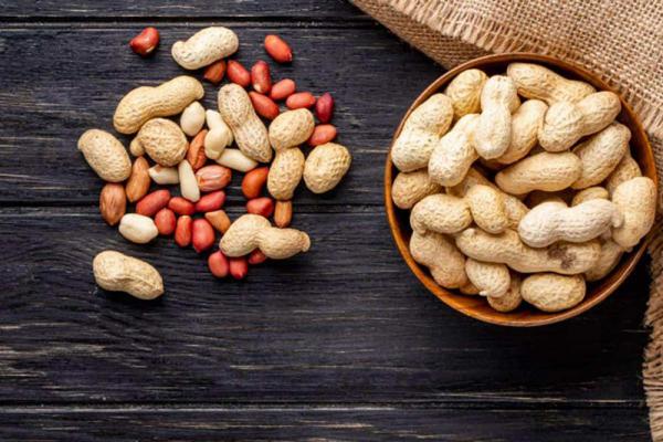 قیمت خرید بادام زمینی گلخانه ای مرغوب