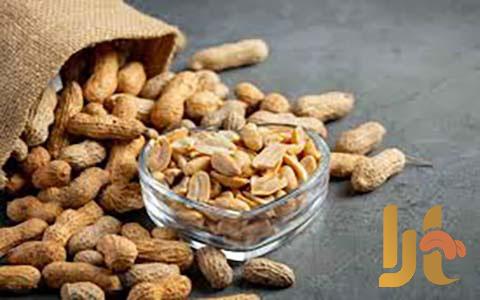 مناسب ترین قیمت بادام زمینی روغن گیری در دی 1402